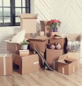 ICON CLEAN - Professional Cleaning Services Papatoetoe (2025) Cleaning Contractors & Services 2_small