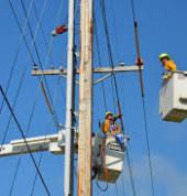 MITCHELL ELECTRICAL Waiuku (2123) Electricians 1_small