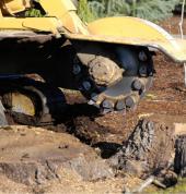 Stump Grinding Auckland