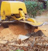 Stump Grinding Auckland