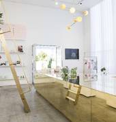 Blush Florist - Brass display counter