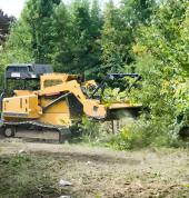 Land Clearing Auckland