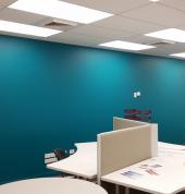 White Rose Painting Limited Hobsonville (0618) Painters 3_small