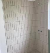 Mt albert Bathroom in Mt Albert