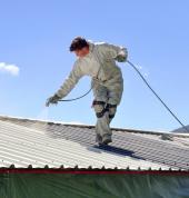 Roof Painting