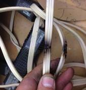 Burnt wiring needs rewiring. Unsafe