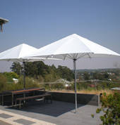 Umbrellas