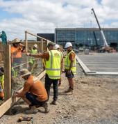 Fence Builders Napier