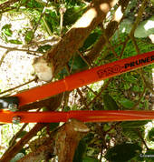 A range of tools for all levels of gardener