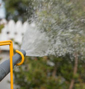 Help conserve water with spot watering