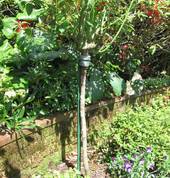 Specialist Standard Rose stakes