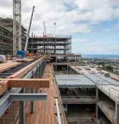 Deck Builders East Auckland