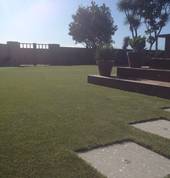 Think Turf Petone (5012) Synthetic Turf & Grass 1_small