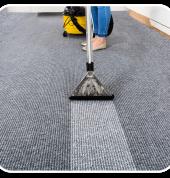 Perfect Dry Cleaning Company Flat Bush (2023) Carpet Cleaning 1_small