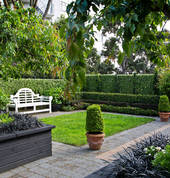 Small city gardens, formal & elegant