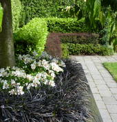 Layered hedges in a formal garden apartment in the city