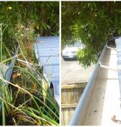 Gutter Cleaning, roof wash and roof treatment for moss and lichen