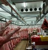 Meat Factory Service Foods.