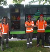 Treescape Limited - Canterbury Harewood (8051) Tree Cutting , Felling & Removal 1_small