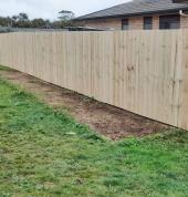Fence Building