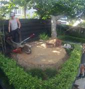 Big Palm Difficult access