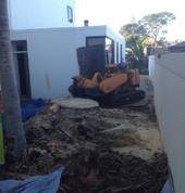 big stump tight access