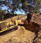 Very large pine stump subdivision full grind!