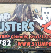 Stump Busters East Tamaki (2013) Tree Stump Removal & Grinding 1_small
