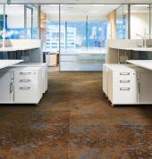 Shape Commercial Auckland Central (1010) Office Furniture 1_small