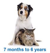 Pet-n-Sur Auckland Central (1010) Insurance 3_small