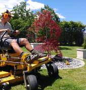 Maple Tree Gardening Services Hanmer Springs (7334) Garden Maintenance & Lawn Mowing 1_small