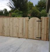 Paling fence with pedestrian gate