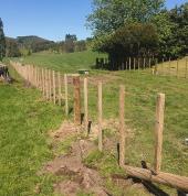 Rural fencing