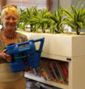 Ambience Seatoun (6022) Garden Pots & Plants 1_small