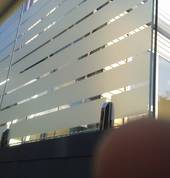 Filmscene Window Tinting Auckland Central (1010) Window Tinting & Films 2_small