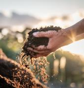 Mulch, Compost and Garden Mix - High-quality, landscaping products crafted from 100% recycled greenwaste
