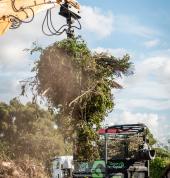 Low-Cost Greenwaste Disposal - Flax, palms, bamboo, logs, and noxious weeds – no problem – we take it all!