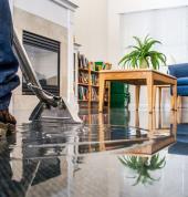 Carpet CPR Frankton (3204) Carpet Cleaning 1_small