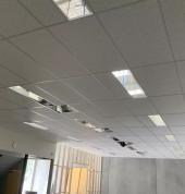 Better Interiors Ltd Upper Hutt (5018) Painters 1_small