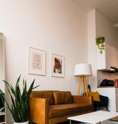 Tauranga Painters- Interior painting