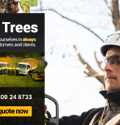 Tree Removal