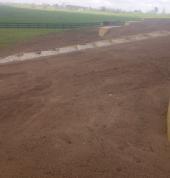 Landscaping Hamilton