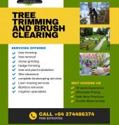 Stump Grinding Auckland Auckland Central (1011) Garden and Landscape Designers 1_small