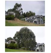 Tree Solutionz Queenstown (9300) Arborists & Tree Surgery 5_small