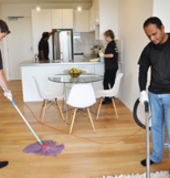 domestic cleaning team