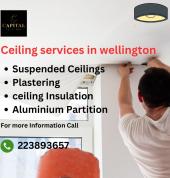 Capital Ceiling Lower Hutt (5010) Ceiling Contractors & Services 1_small