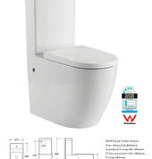 Back to Wall Toilet Suite - Extra Height - Vortex Flush T027 Model