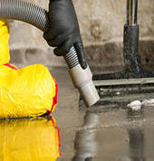 Carpet Cleaners Auckland New Windsor (0600) Cleaning Contractors & Services 5_small