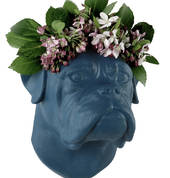 O Yeah Nah Limited Glen Eden (0602) Interior Designers 1_small