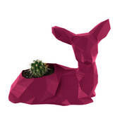 O Yeah Nah Limited Glen Eden (0602) Interior Designers 2_small